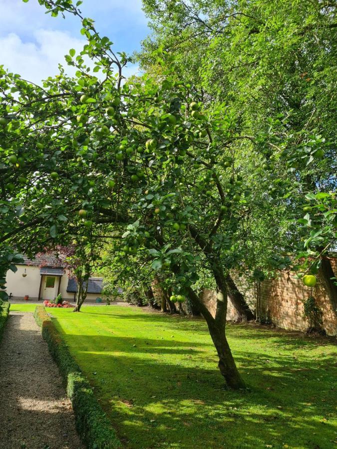 Hotel Banoge House Donaghcloney Exterior foto